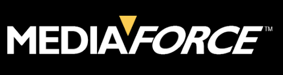 Website Design by Website Management Services - Mediaforce Inc.